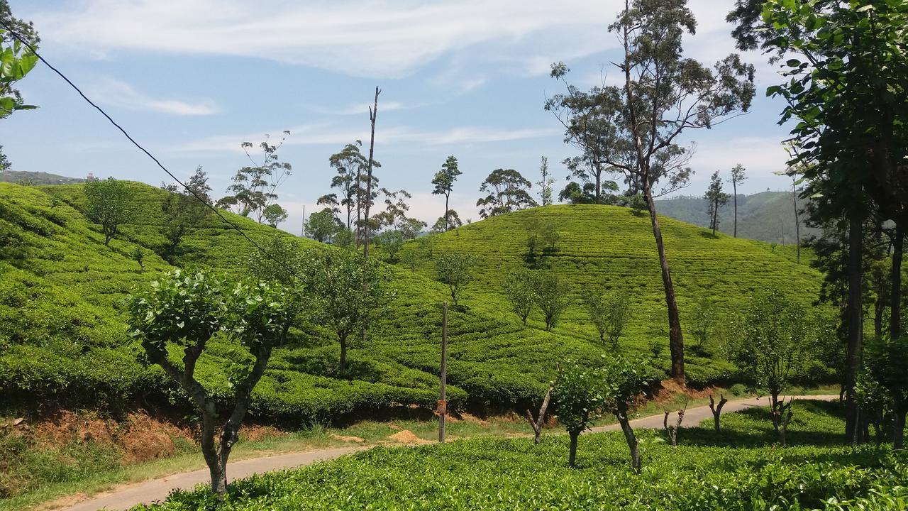 Montes Ella Bed & Breakfast Luaran gambar